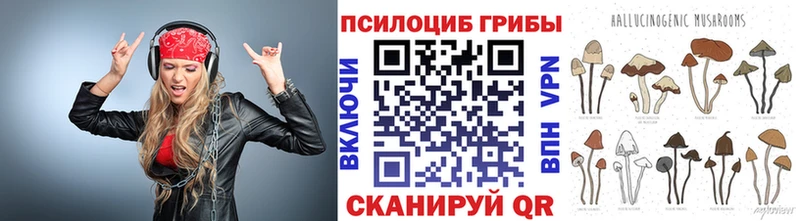 купить   Рубцовск  это состав  Галлюциногенные грибы GOLDEN TEACHER 